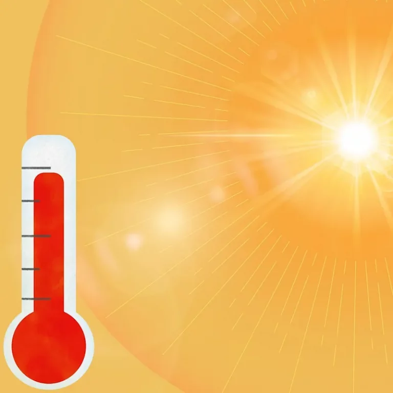 Ola de calor y prevención con Regis Cardio. Imagen representativa del calor.